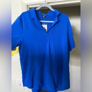 Blue Blouse